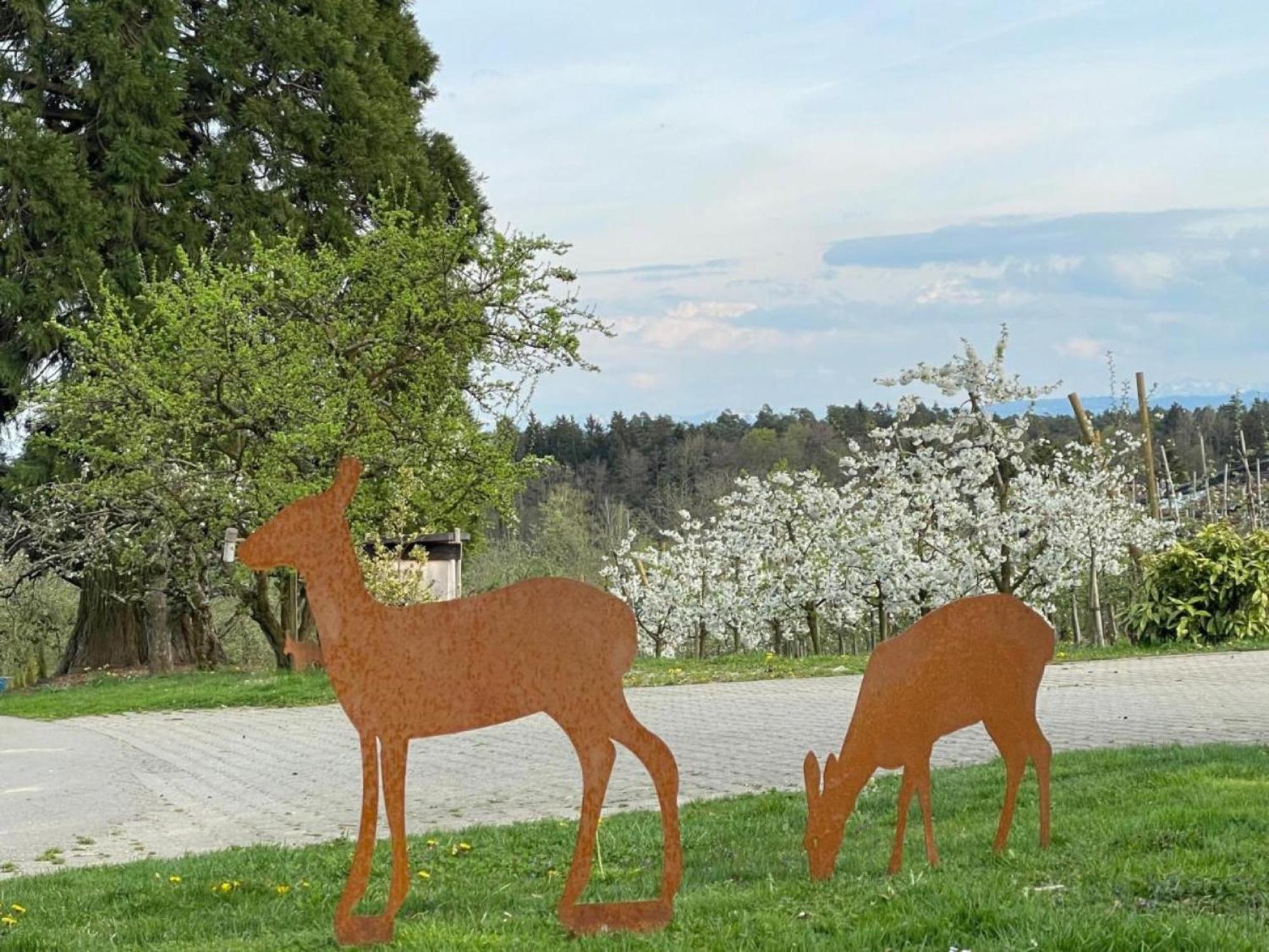 Bergchalet Mirabell - Obstgut am Bodensee FDH Exterior foto