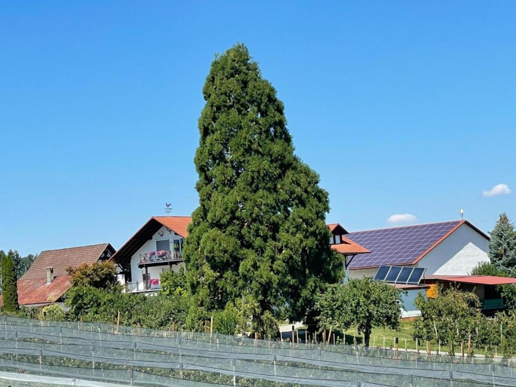 Bergchalet Mirabell - Obstgut am Bodensee FDH Exterior foto