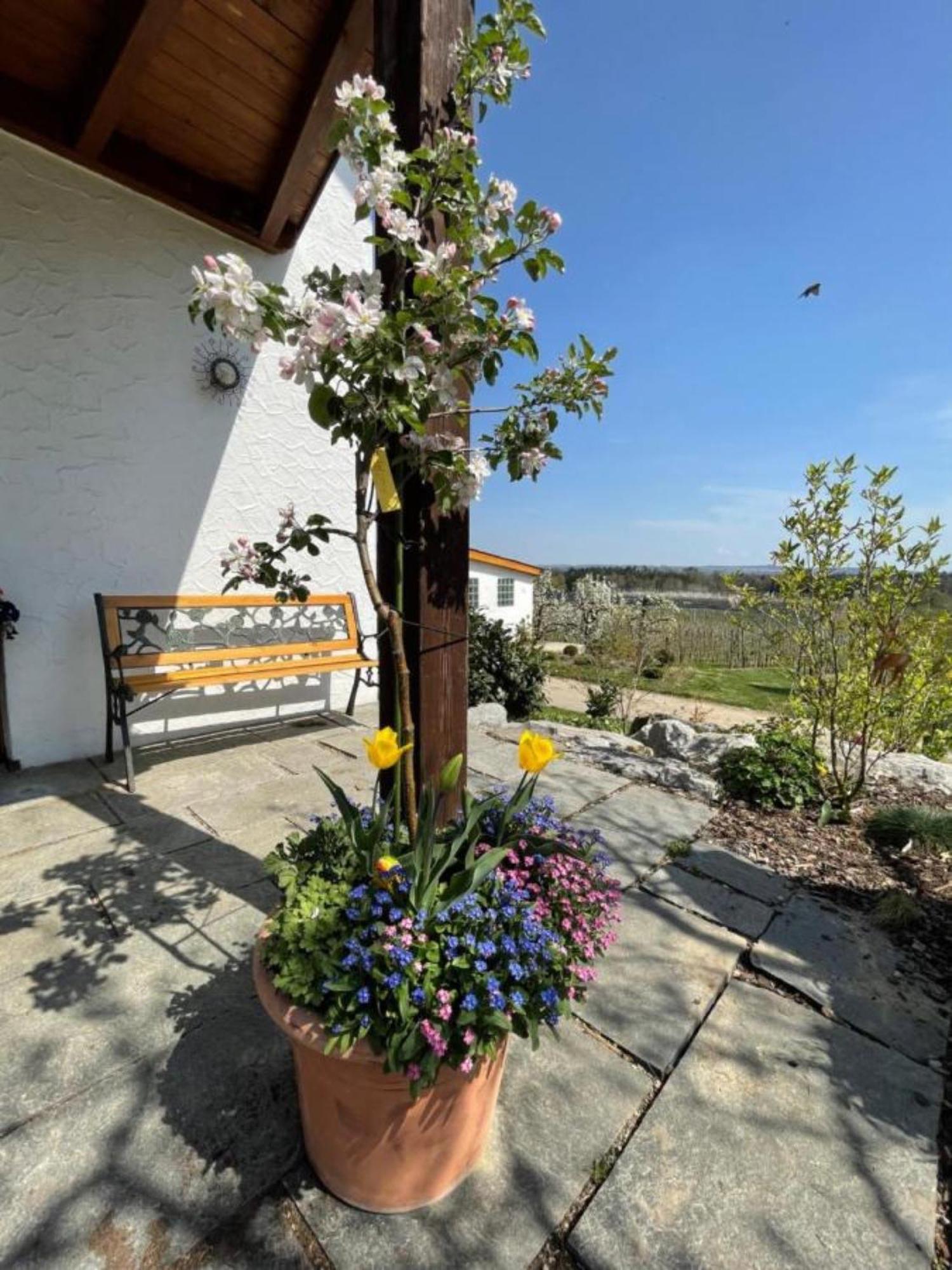 Bergchalet Mirabell - Obstgut am Bodensee FDH Exterior foto