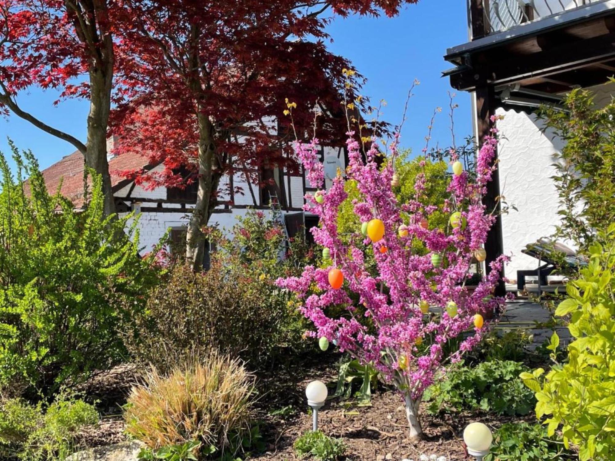 Bergchalet Mirabell - Obstgut am Bodensee FDH Exterior foto