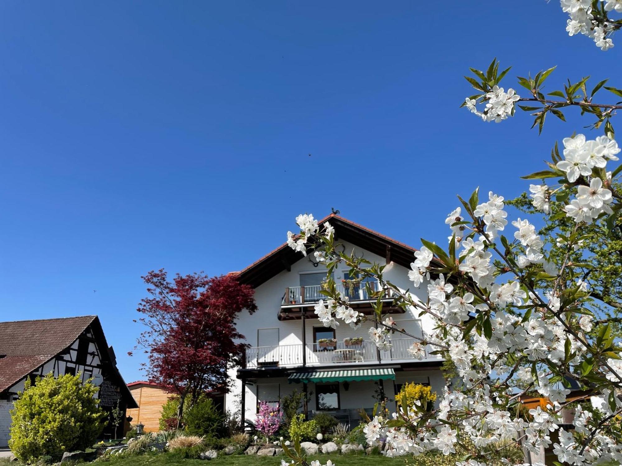 Bergchalet Mirabell - Obstgut am Bodensee FDH Exterior foto