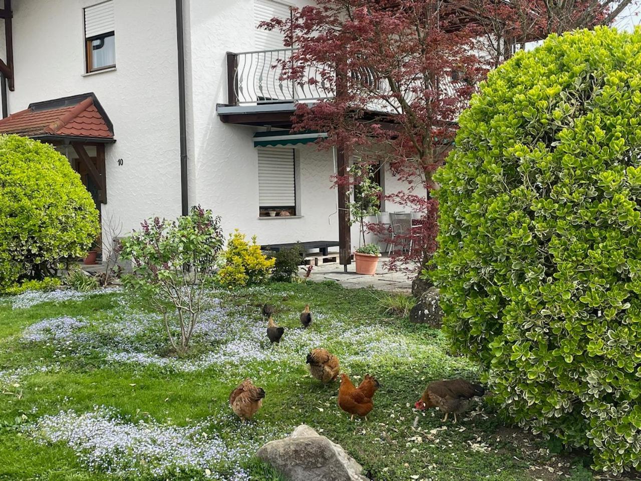 Bergchalet Mirabell - Obstgut am Bodensee FDH Exterior foto