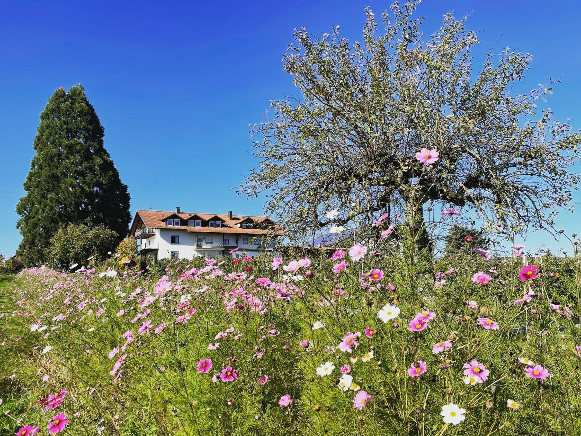 Bergchalet Mirabell - Obstgut am Bodensee FDH Exterior foto