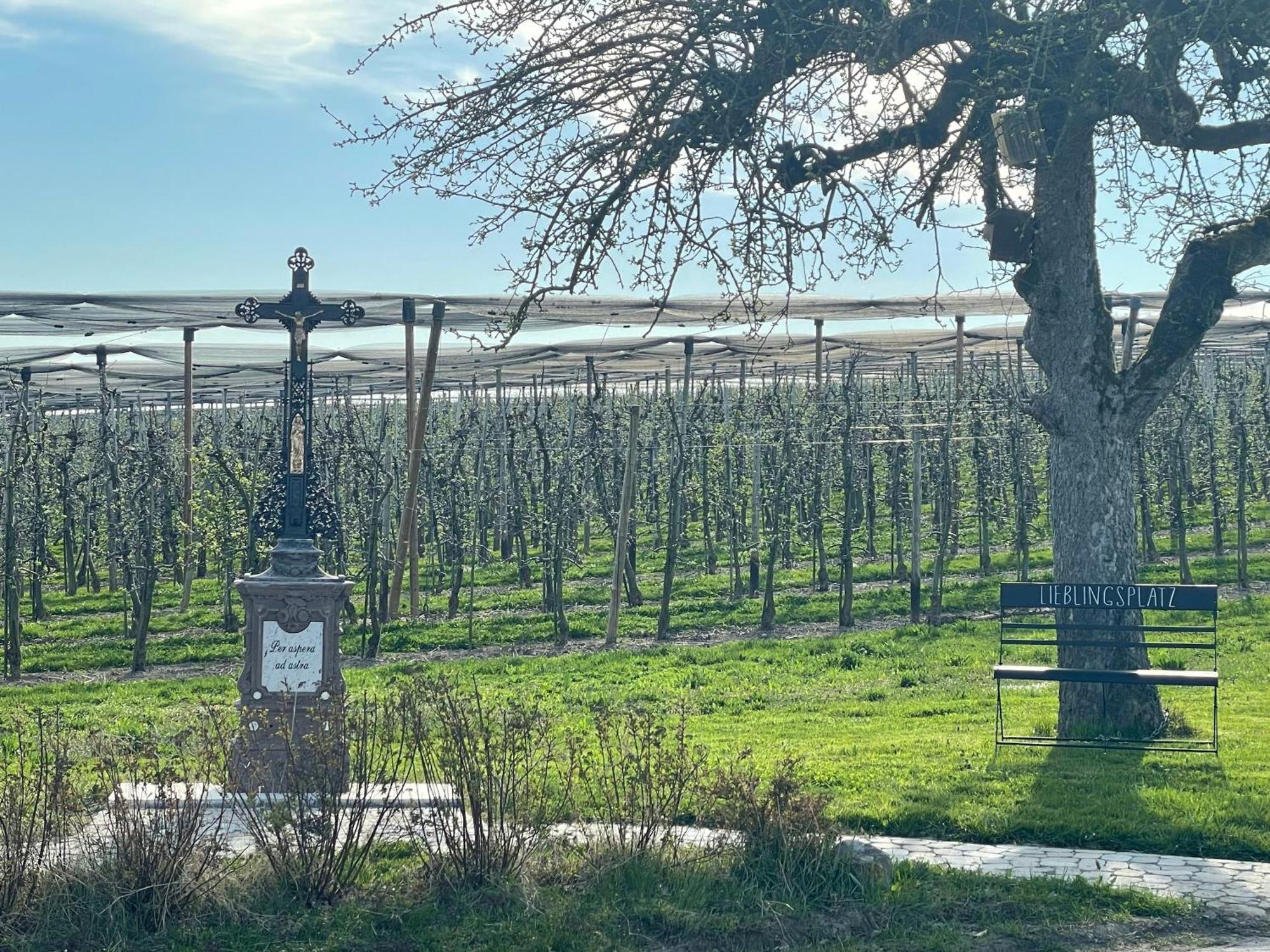 Bergchalet Mirabell - Obstgut am Bodensee FDH Exterior foto