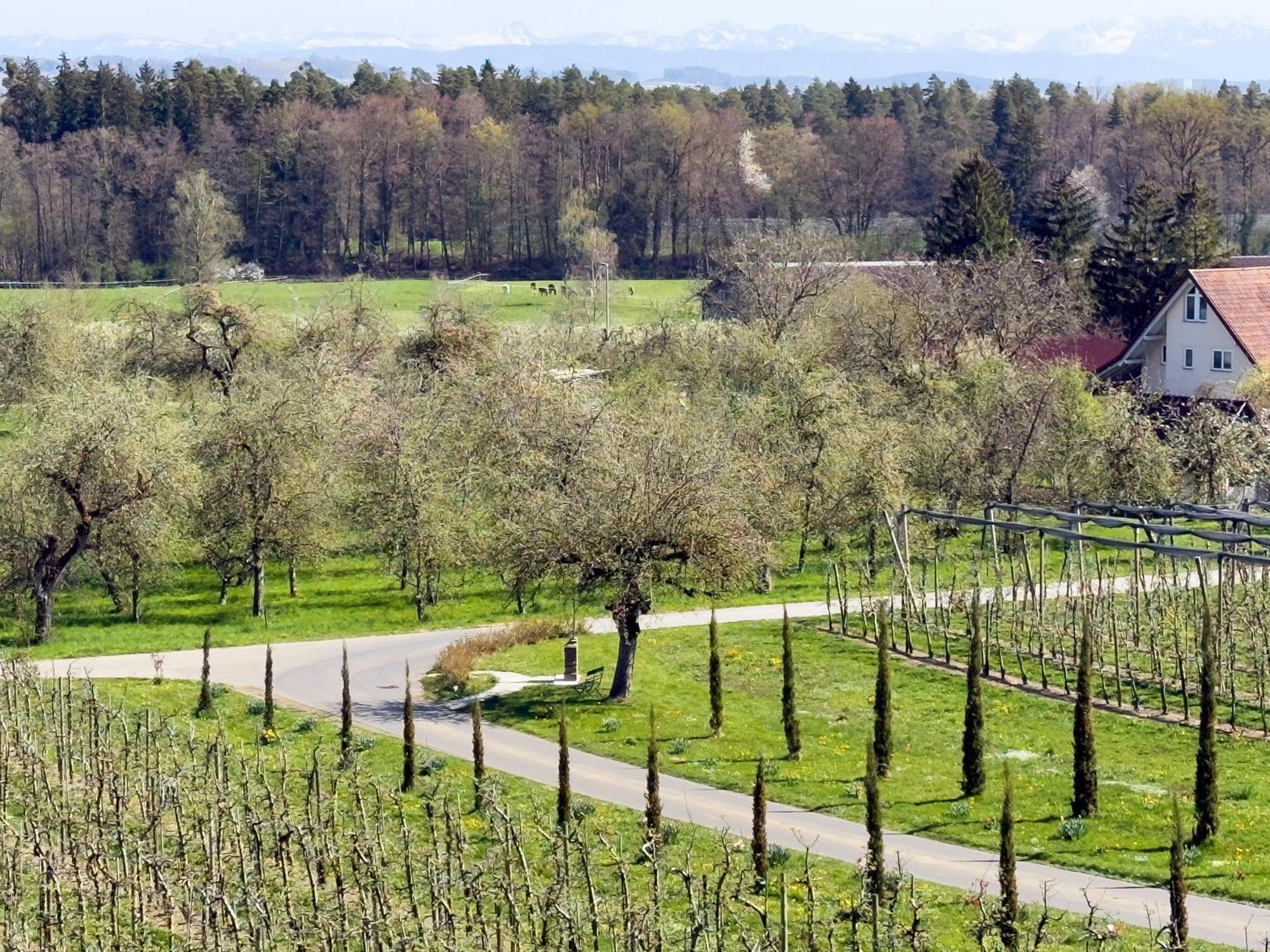 Bergchalet Mirabell - Obstgut am Bodensee FDH Exterior foto