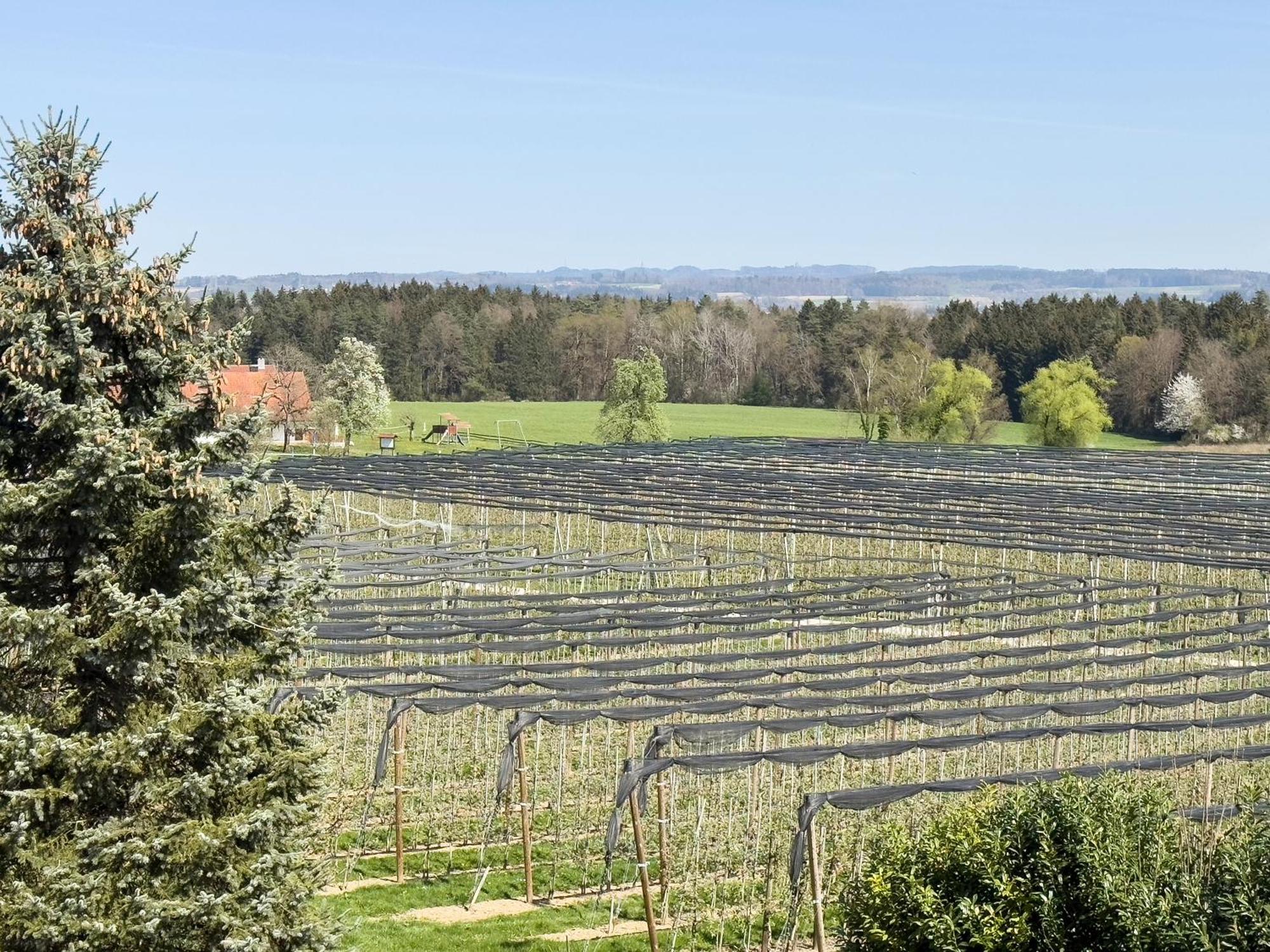 Bergchalet Mirabell - Obstgut am Bodensee FDH Exterior foto