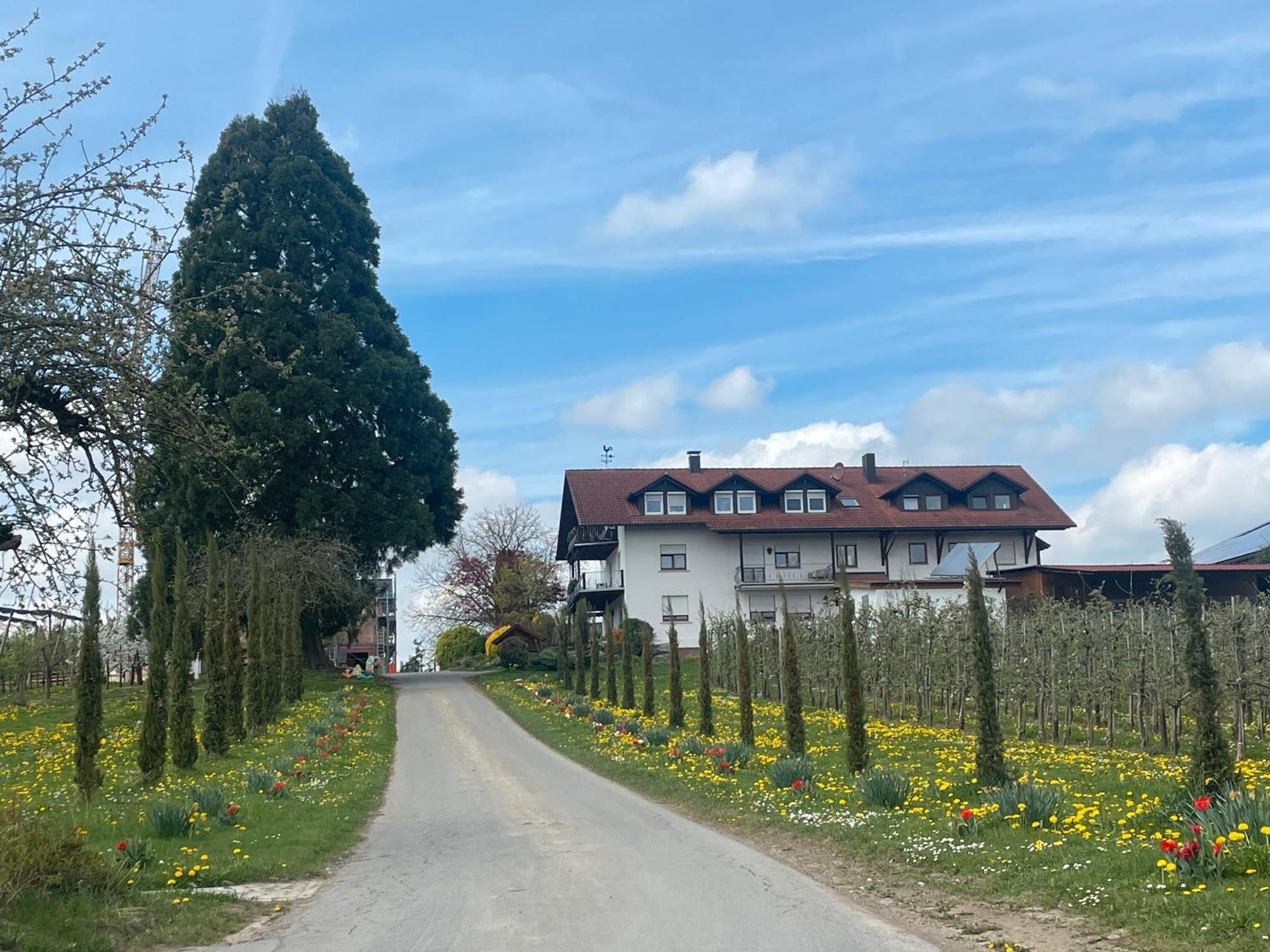 Bergchalet Mirabell - Obstgut am Bodensee FDH Exterior foto